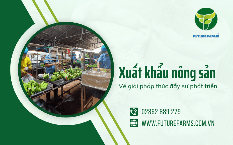 xuất khẩu nông sản