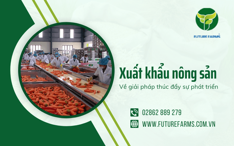 xuất khẩu nông sản