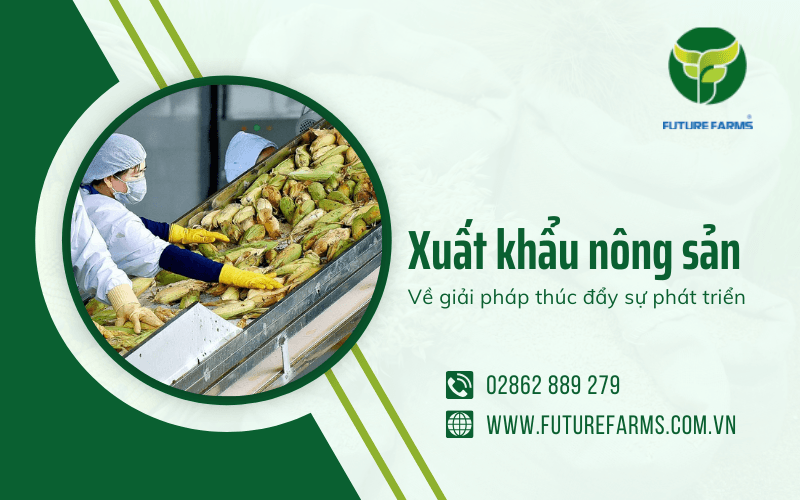 xuất khẩu nông sản