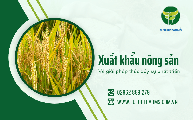 xuất khẩu nông sản