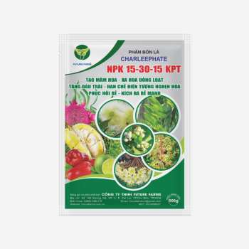 Phân bón Charleephate NPK 15-30-15 KPT