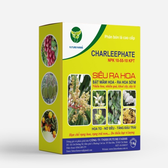Phân bón Charleephate NPK 10-55-10 KPT